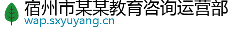 宿州市某某教育咨询运营部